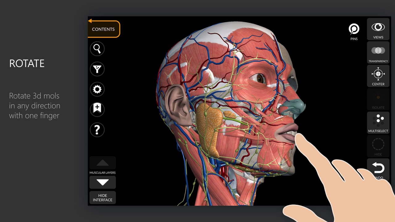 Enhance your learning with a digital anatomy app subscription for on-the-go study