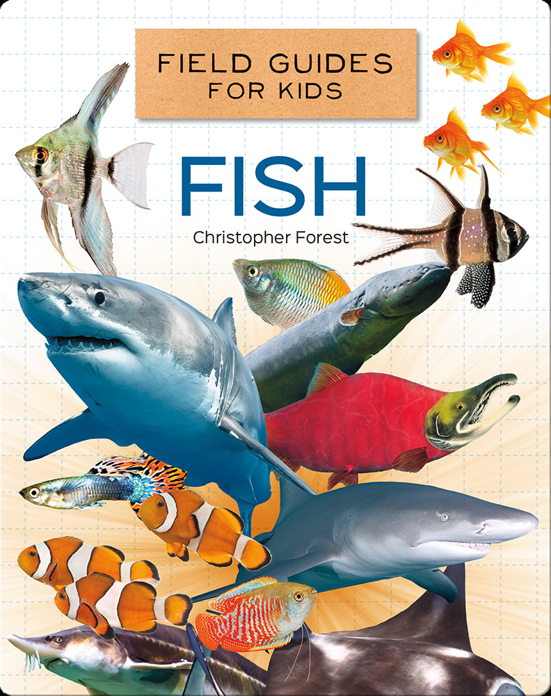 Learning fish identification is fun with this kid-friendly guide, ideal for budding anglers