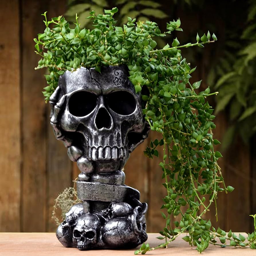 Eye-catching skull planters for indoor or outdoor use