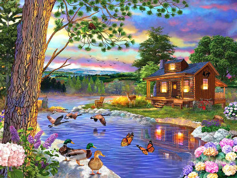 Ccfqiangtie DIY Diamond Painting Kits for Teens,Cartoon Animals,Duck Pond  Lotus Landscape,5D Full Round Drill Diamond Painting kit Christmas  Thanksgiving Decorati,40x50cm : : Home & Kitchen