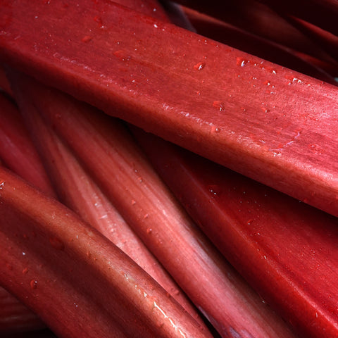 rhubarb