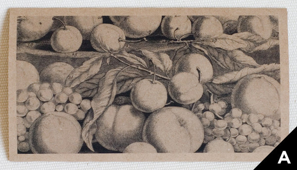 "Fruit: August" greeting card art shows a black (on kraft paper) engraving of fruit