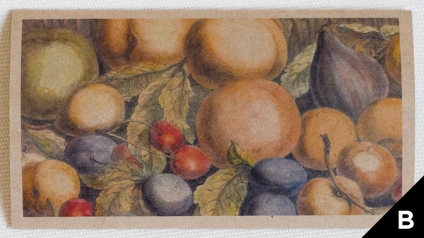 "Fruit: July" greeting card features art depicting fruit, originally a hand-colored engraving (printed on kraft paper)