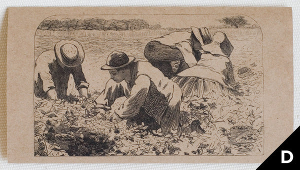 "The Strawberry Bed" greeting card features art depicting people harvesting strawberries, originally an engraving (black print on kraft paper)
