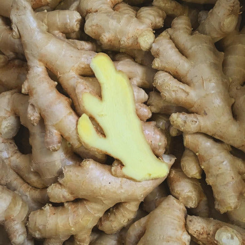 Ginger shrub! Made from organic apple cider vinegar, organic unrefined cane sugar and organic ginger. This potent shrub mixed with soda makes a great substitute for ginger ale. Use it in place of ginger ale in cocktails (moscow mule! dark & stormy!), pairs wonderfully with our bearss LIME shrub and meyer LEMON shrub.