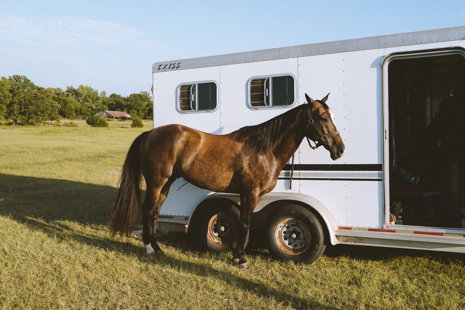 performance ready now horse tack and supplies equestrian nutrition and canine nutrition based out of oklahoma made in the usa