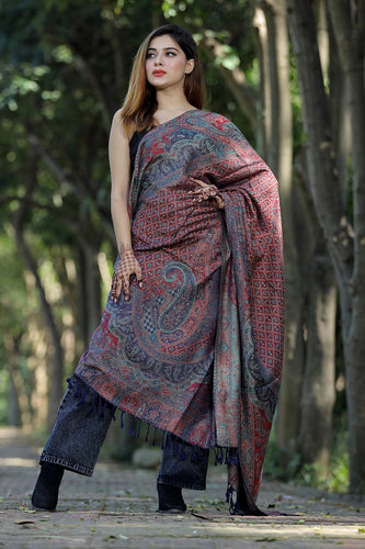 multi colour shawl zari kani work defines royal luxurious extremely comfortable for all