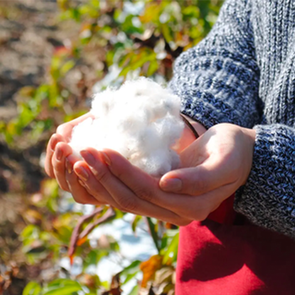 Tabio makes socks from seeds