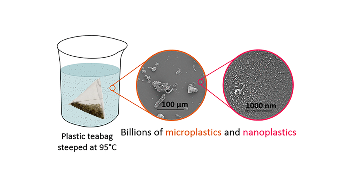 Microplastics: Premium teabags leak billions of particles - study - BBC News