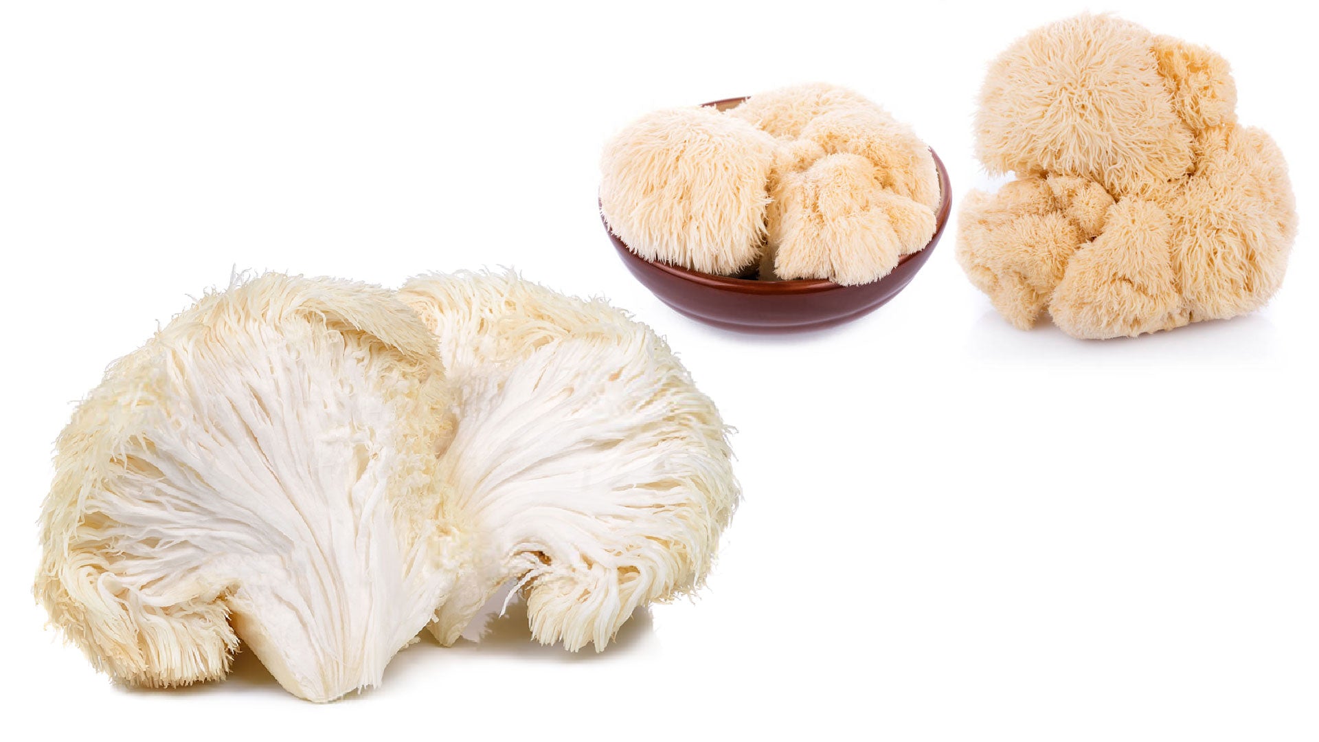 Lion's Mane Mushroom, Brain Tea