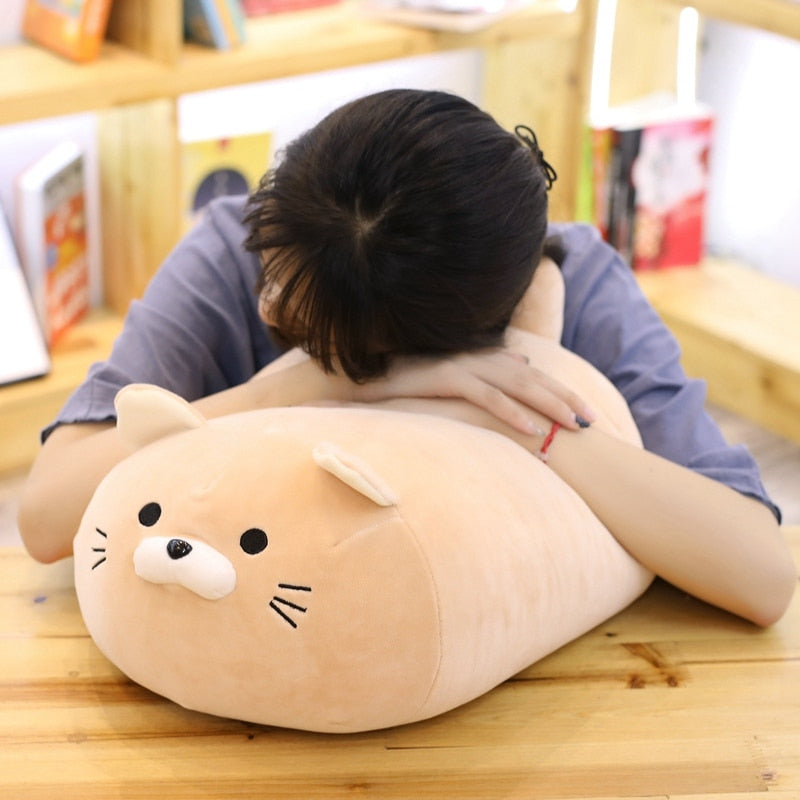 chubby cat plush