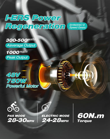 ENGWE ENGINE PRO Foldable Electric Bike