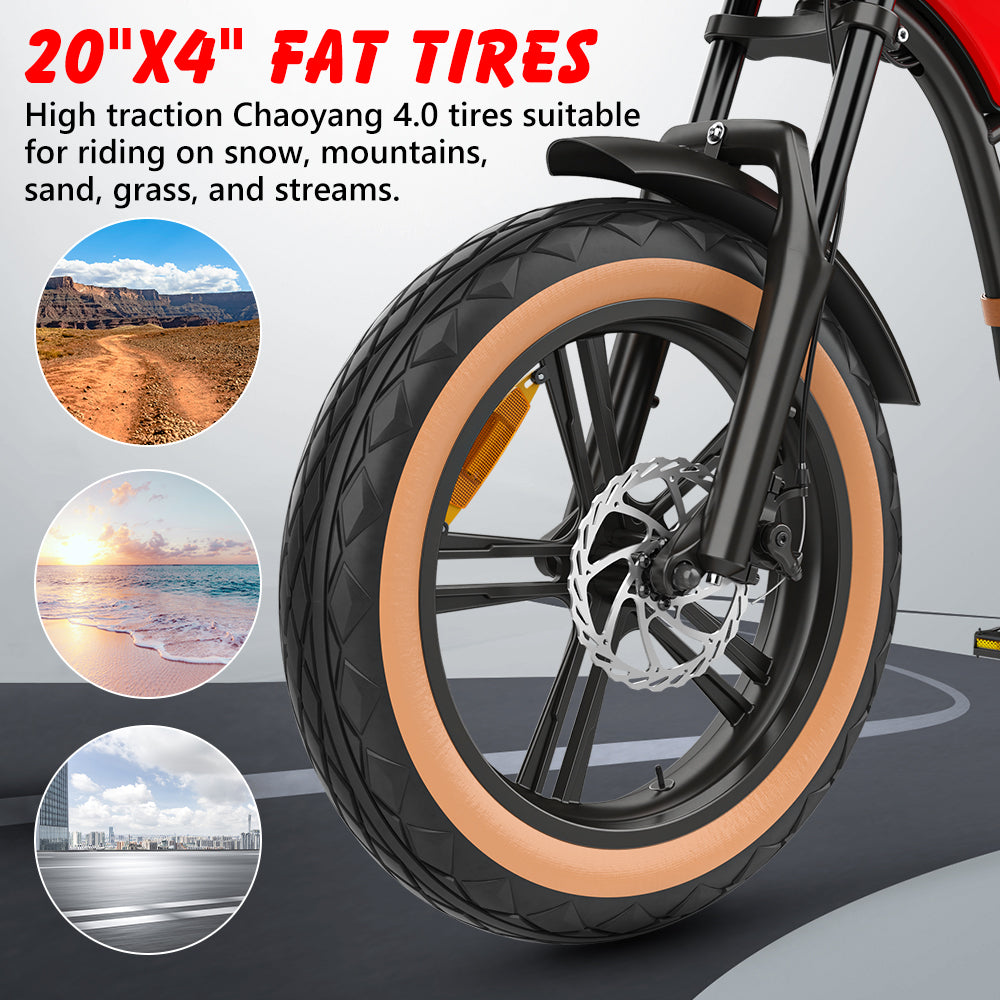 Hidoes® B10 -1000W Retro Vintage Fat Tyre Electric Bike