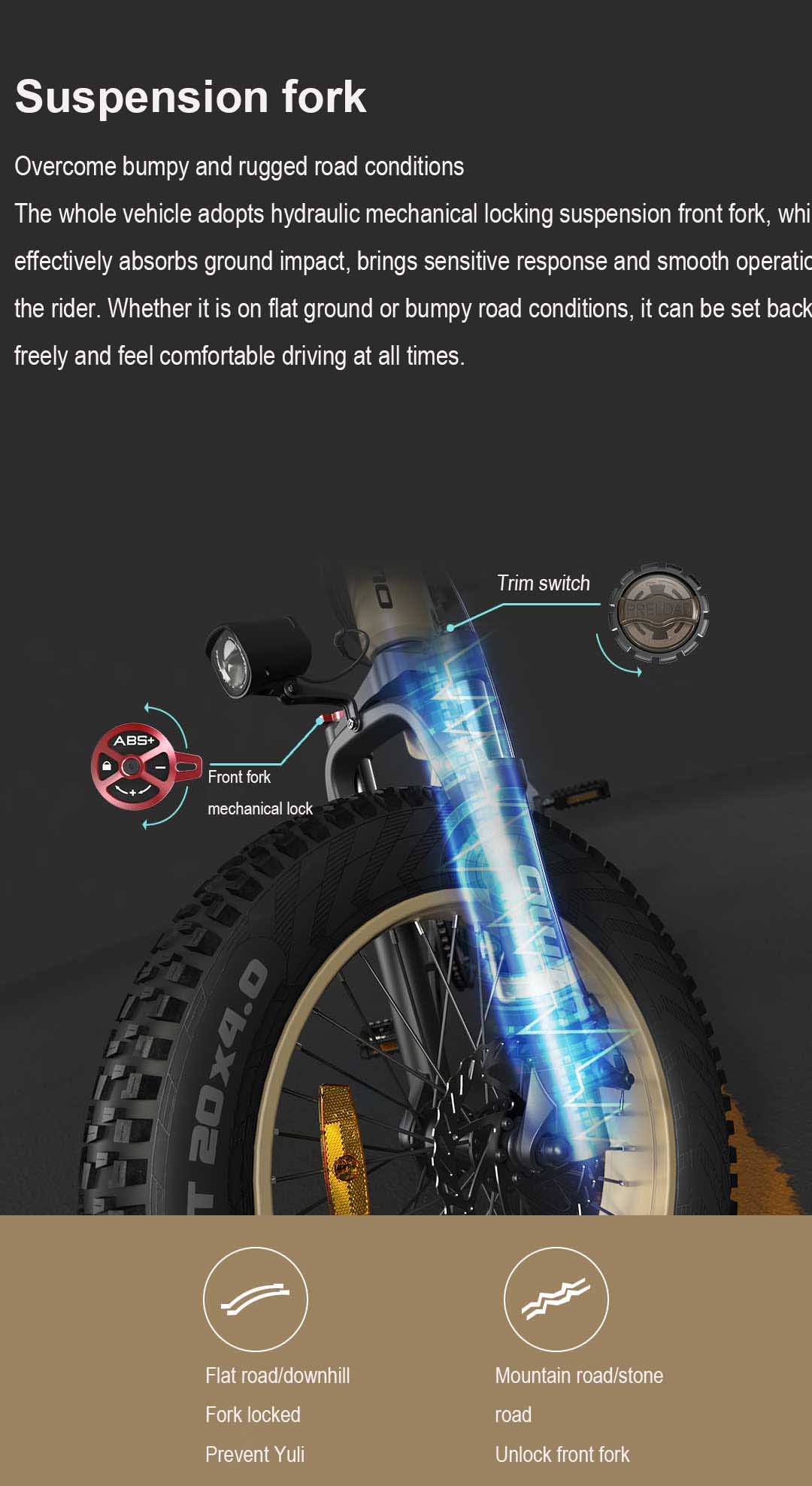 HIMO ZB20 Fat Tyre Folding Electric Bike