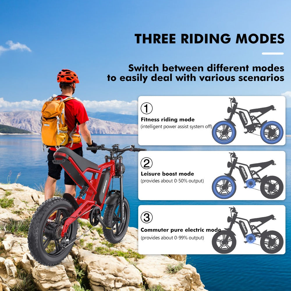 Hidoes® B6 Fat Tyre Electric Bike