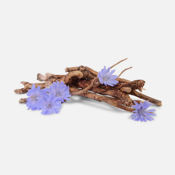 Chicory Root Fiber