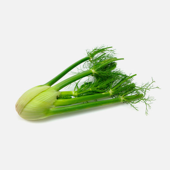 Organic Fennel