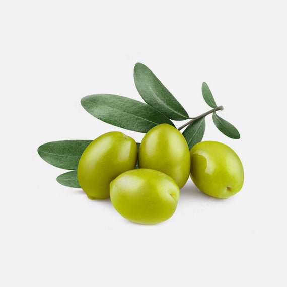 Olive Oil