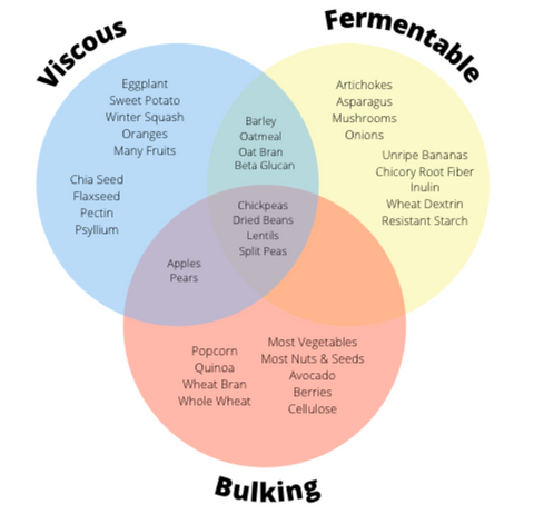 VISCOUS FERMENTABLE BULKING.png functional health coach functional nutrition functional medicine online health coach online fitness coach online dietitian