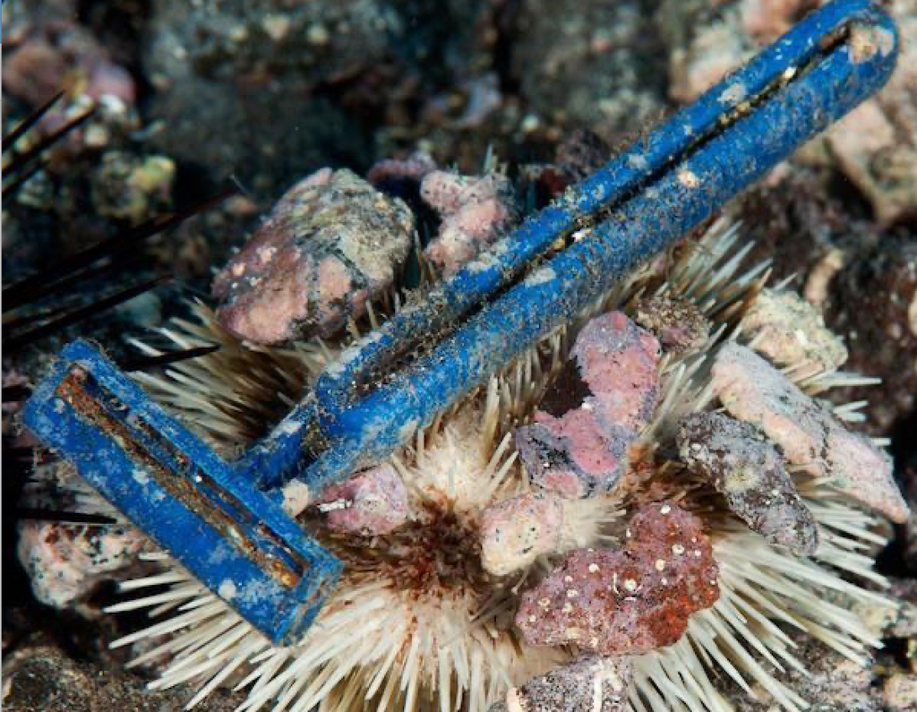 Plastic razor waste in the sea