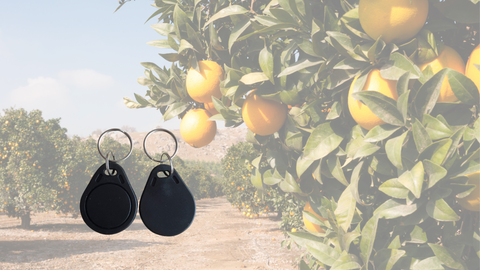 Key tags in fruit farm RFID