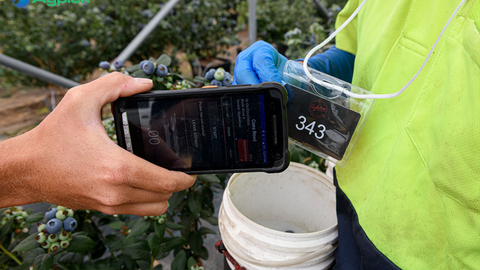 Scanning access card of farmworker