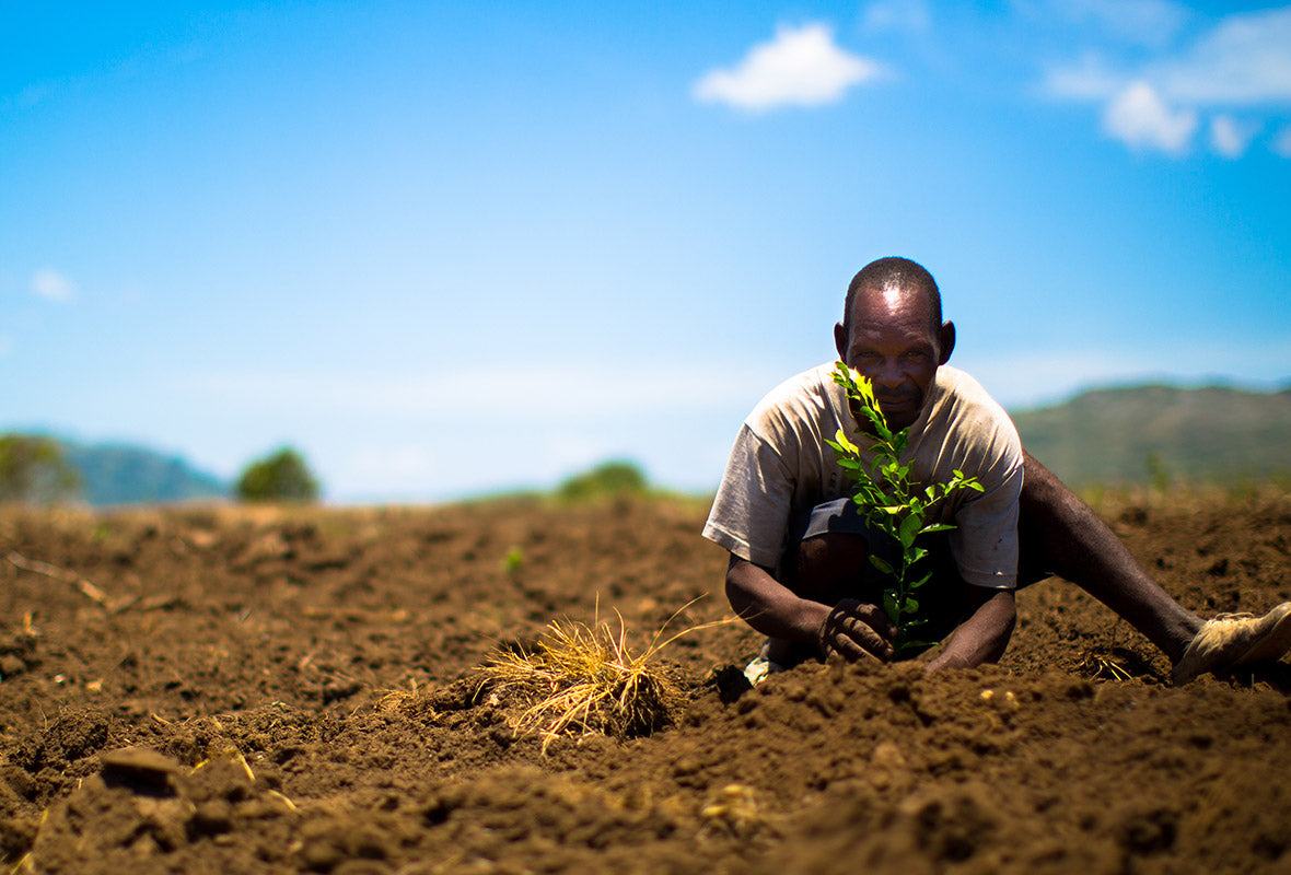 One Tree Planted In Action With A Farmer