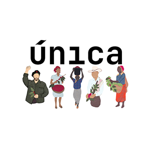 Unica Coffee Roasters Bedminster