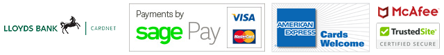 Visa Mastercard Maestro Solo PayPal Sagepay