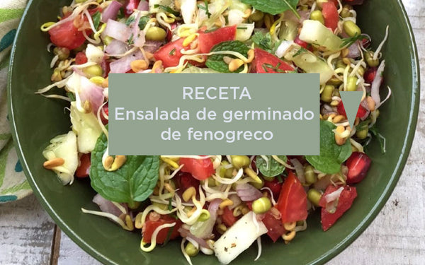 receta ensalada de germinado de fenogreco