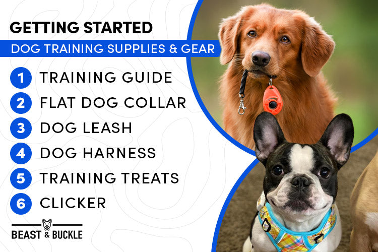 Getting Started Dog Training Supplies and Gear