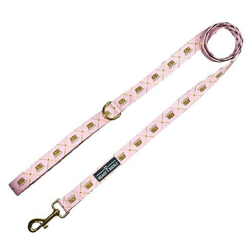 why are retractable leashes bad for dogs