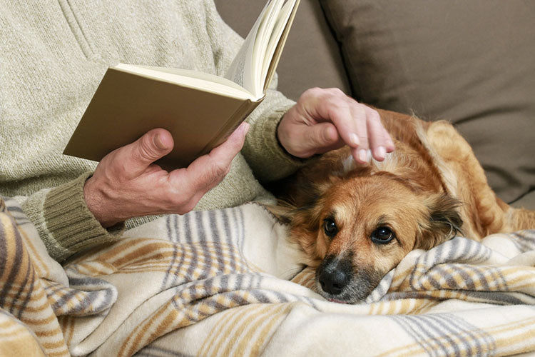 reading with pup on couch