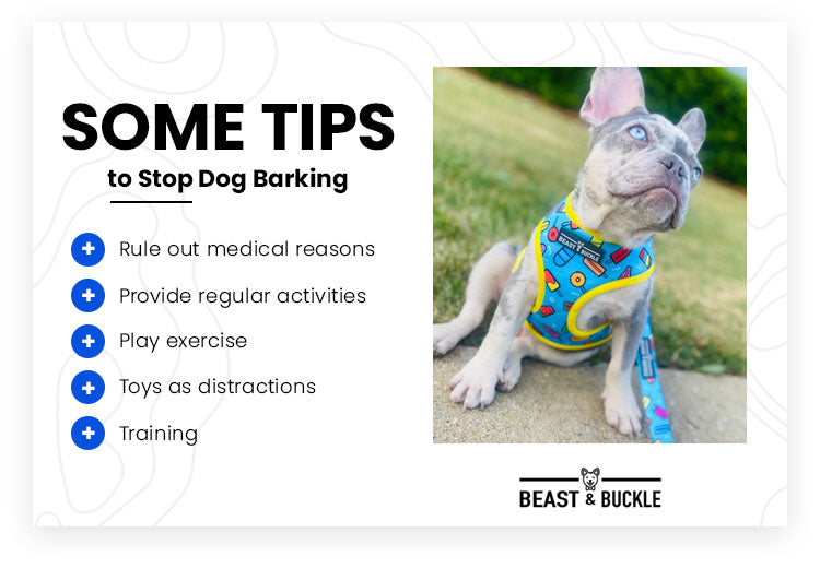 some tips to stop barking