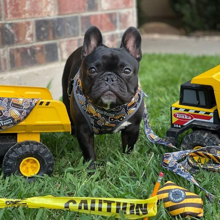 under construction classic dog harness