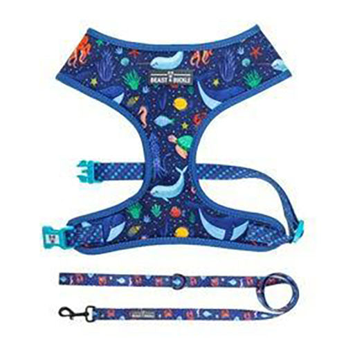 an under the sea harness leash set