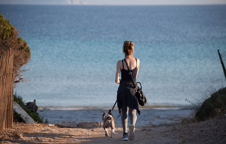 woman walking dog near lake