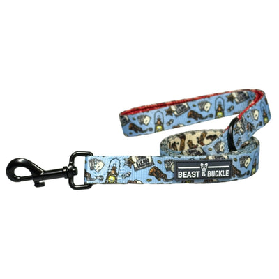 Cute Female Dog Collars Small, Medium, Large, Matching Collar Leash Set,  Premium, Floral Collars for Girl Dogs (Small, Martingale Ladybird)