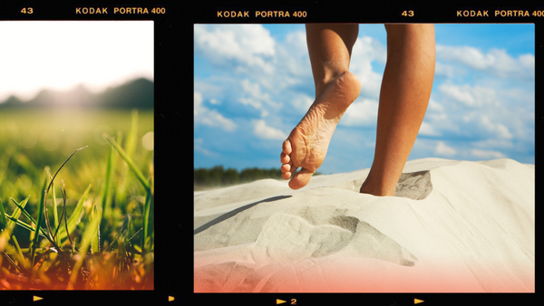 Close up image of grass next to person walking through sand