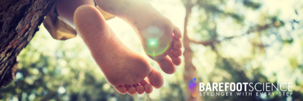 Feet hanging over tree branch, Bare Foot Science