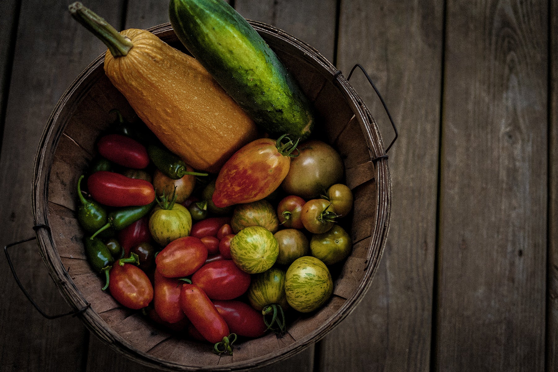 Tomato Harvest