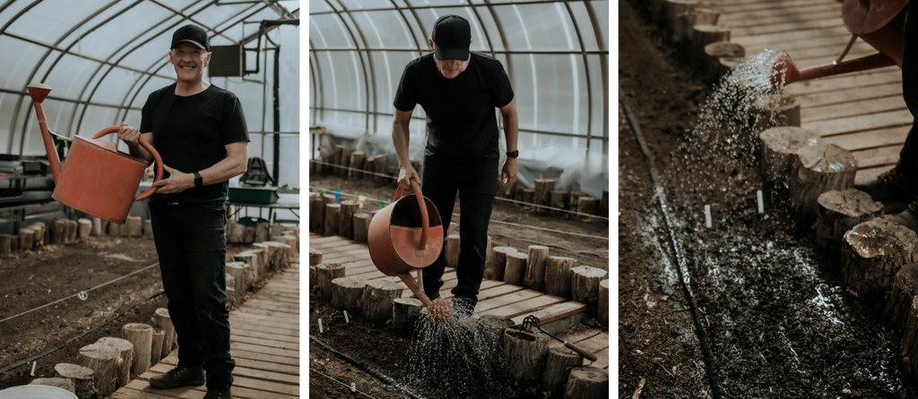 Watering the seed bed