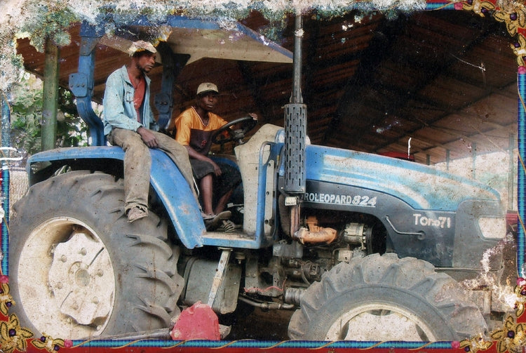 The Dumi area farmers had the space and the knowledge to grow. With investment from Tifie, they expanded their farms and used equipment at the Dumi farm to increase food supply into the city markets