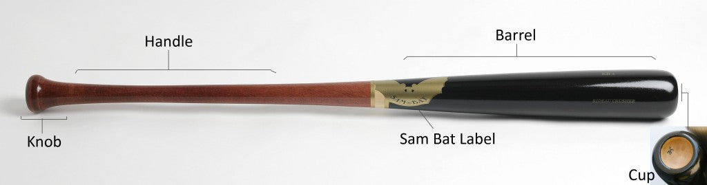 Anatomy of a Bat copy 2