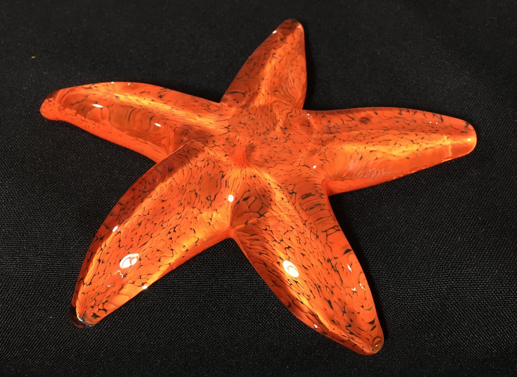 Rare Six Legged Creeping Dichro Starfish – John Gibbons Glass