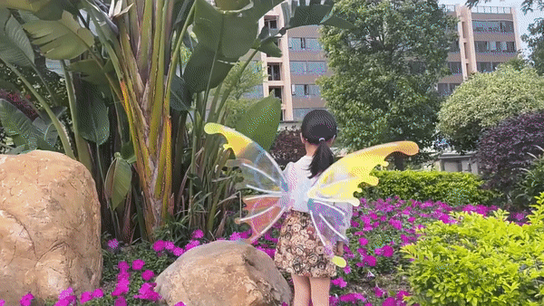 Fluttering Fairy Wings