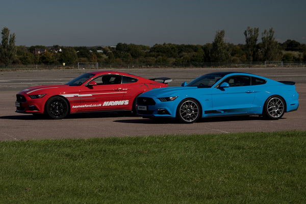 Haynes demo Q350 Sport Mustang and their GT demo car with Steeda race wing