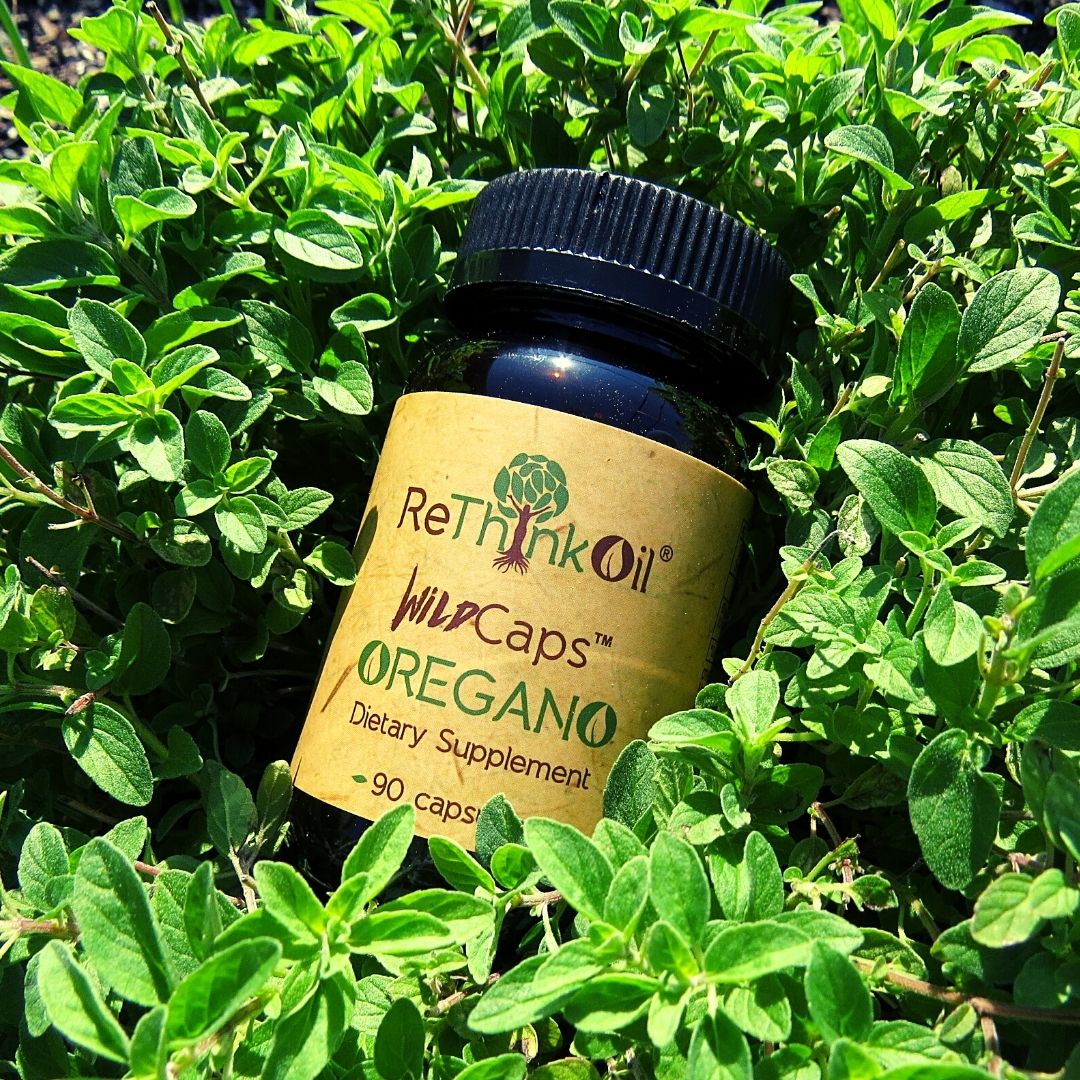 WildCaps - Wild Mediterranean Oil of Oregano Capsules - Origanum  Minutiflorum - ReThinkOil