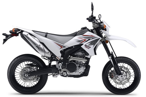 2010 Yamaha WR250X