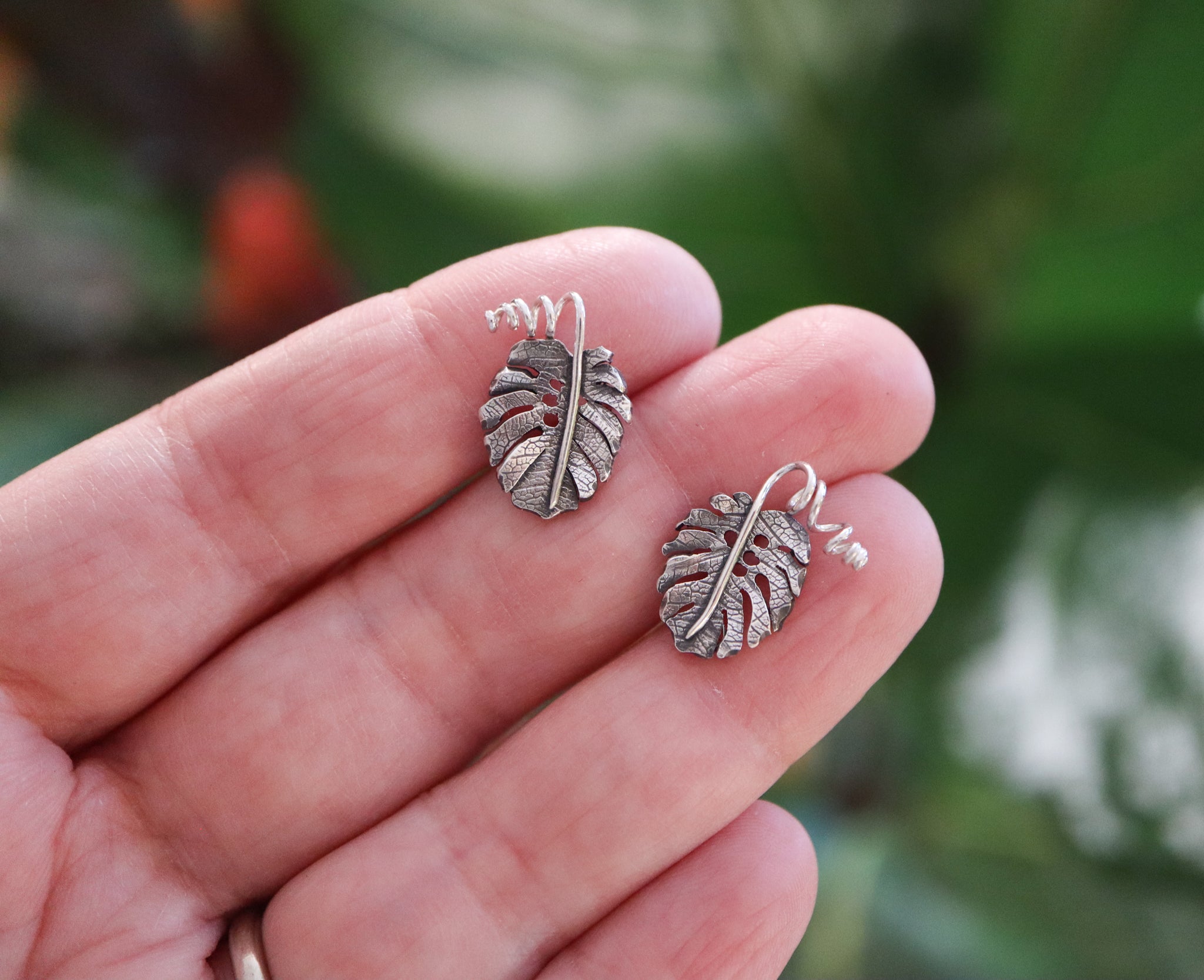 Rubber Plant Earrings Stainless Steel